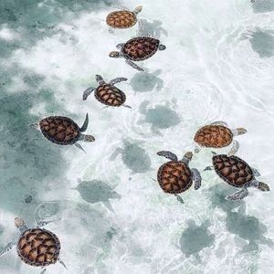 Meet your Posher, Laci